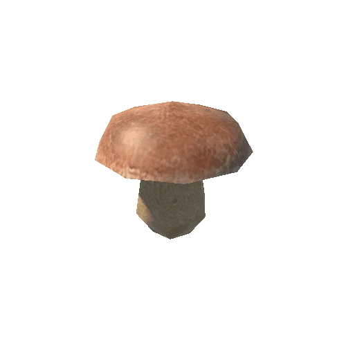 fungi_cep