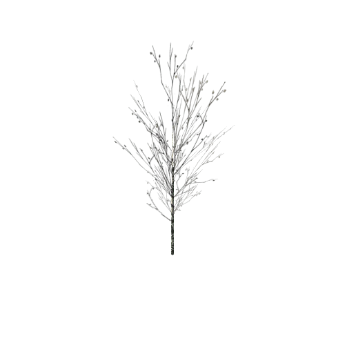 tree_birch