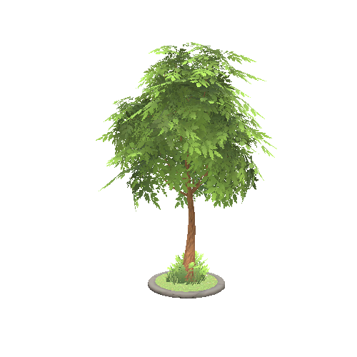 tree_patch_small