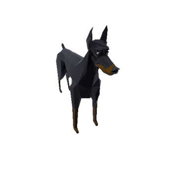 Doberman