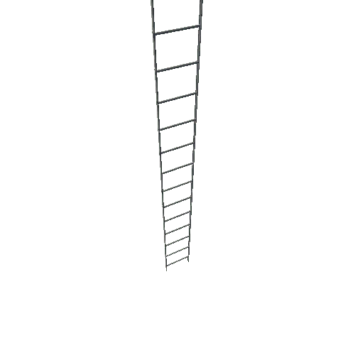 ladder-2