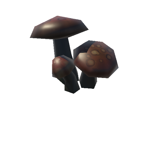 mushroom_09