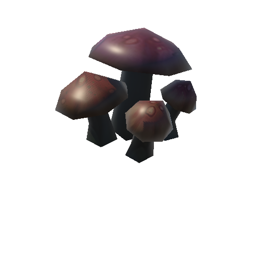 mushrooms_10