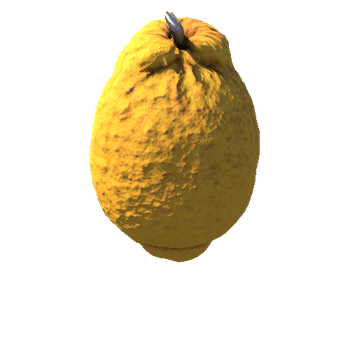 citron_low_FBX