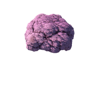 purple_cauliflower_FBX