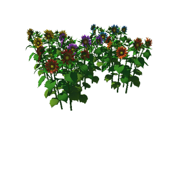 Flower_helianthus-annuus