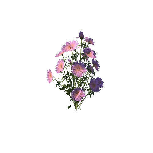 flower_decoration_4
