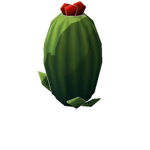 DS_Cactus_Medium_01A