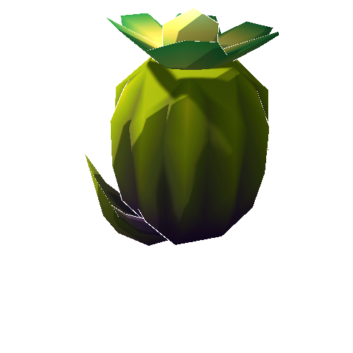 DS_Cactus_Small_05B