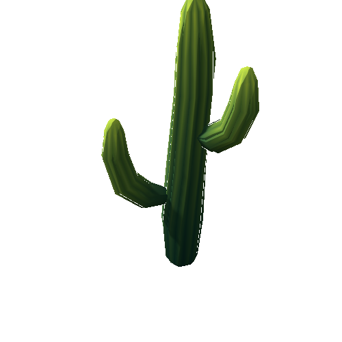 DS_Cactus_Tall_1A