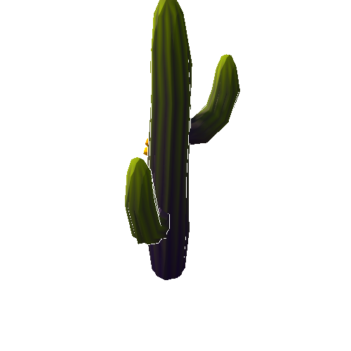 DS_Cactus_Tall_1B