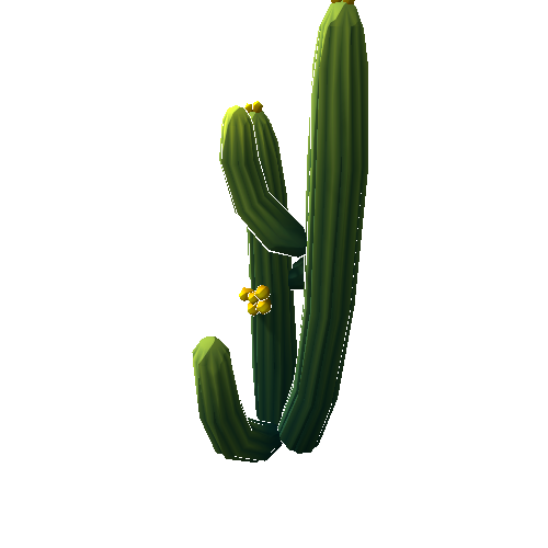 DS_Cactus_Tall_2A