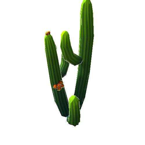 DS_Cactus_Tall_2B