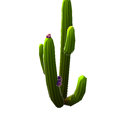 DS_Cactus_Tall_2C