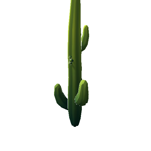 DS_Cactus_Tall_3A