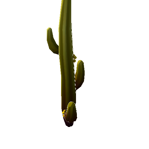 DS_Cactus_Tall_3C