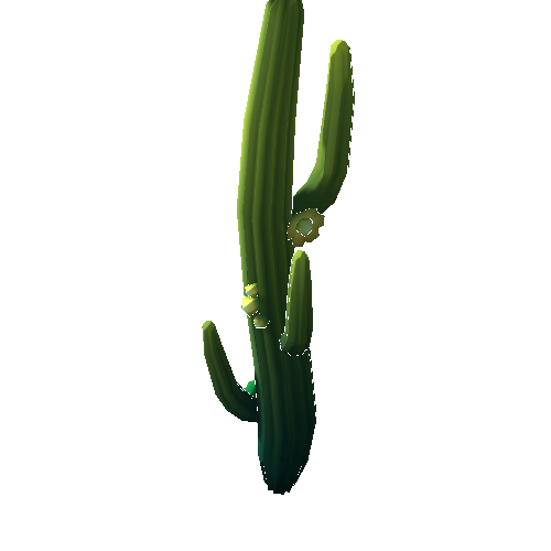 DS_Cactus_Tall_4A