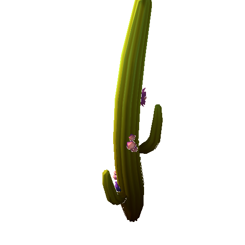 DS_Cactus_Tall_4B