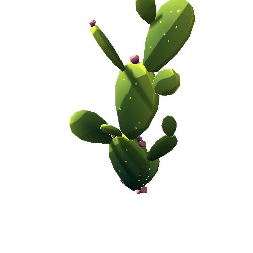 DS_Cactus_Tall_5A