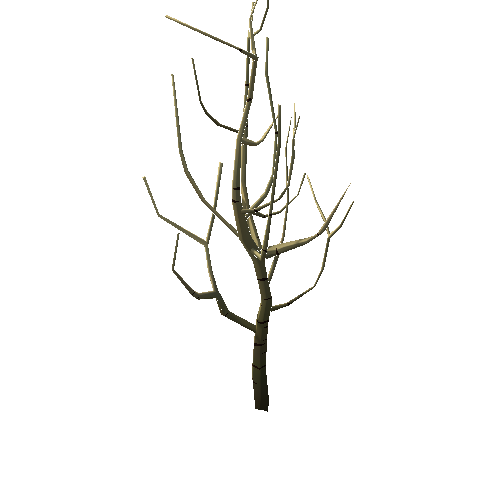 DS_Dry_Tree_01A