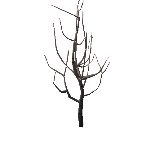 DS_Dry_Tree_01B