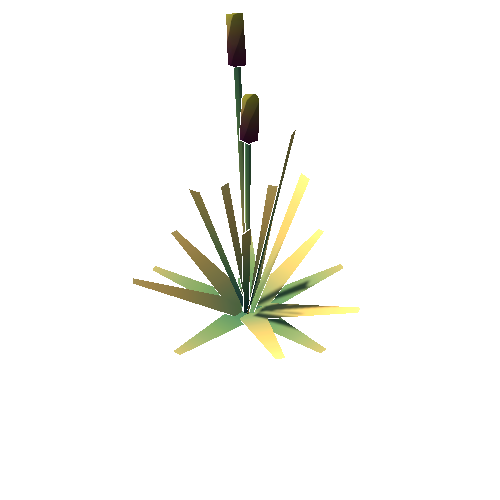 DS_Plant_Dry_04B