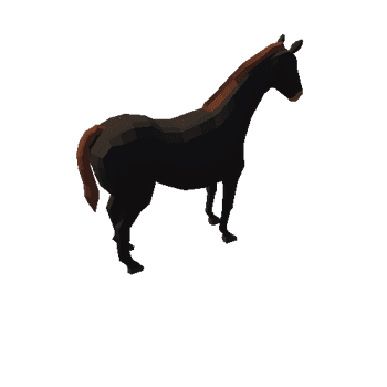 Horse_1