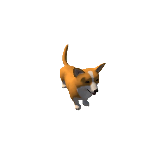 Corgi_clear