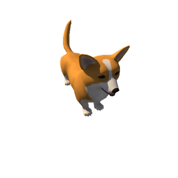 Corgi_IP