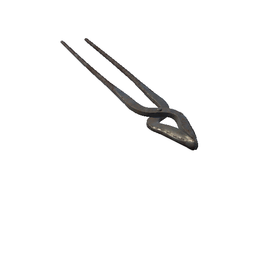 Forceps_3