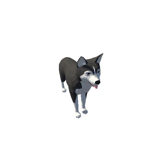 Lowpoly_Husky_IP