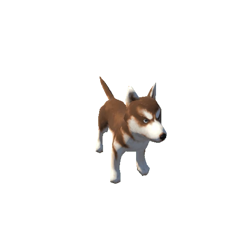 dog02