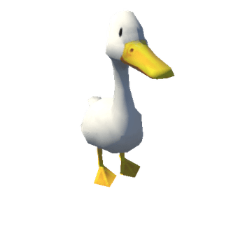 duck