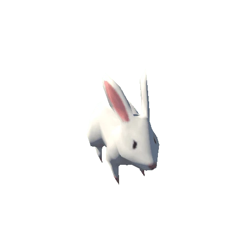 rabbit