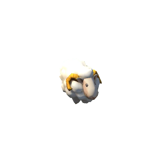 sheep