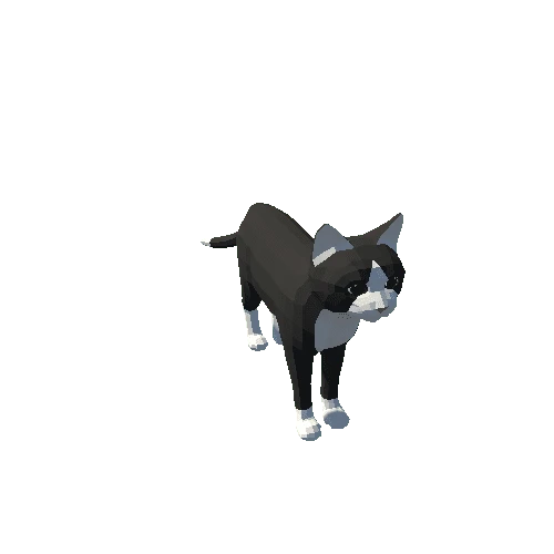 Lowpoly_Cat_BlackWhite