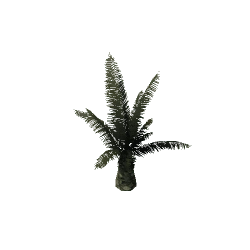 P_Palm01Medium_OneMesh