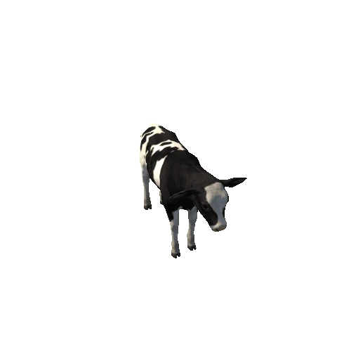 Calf_Lowpoly_c1