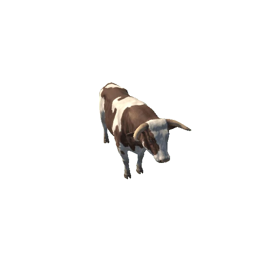 Bull_HighPoly_c1