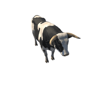 Bull_HighPoly_c2