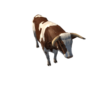 Bull_LowPoly_c1