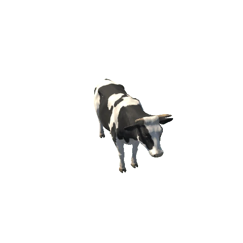 Cow_HIghPoly_c1