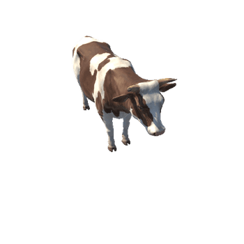 Cow_LOD_c2