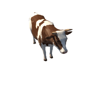 Cow_LowPoly_c2