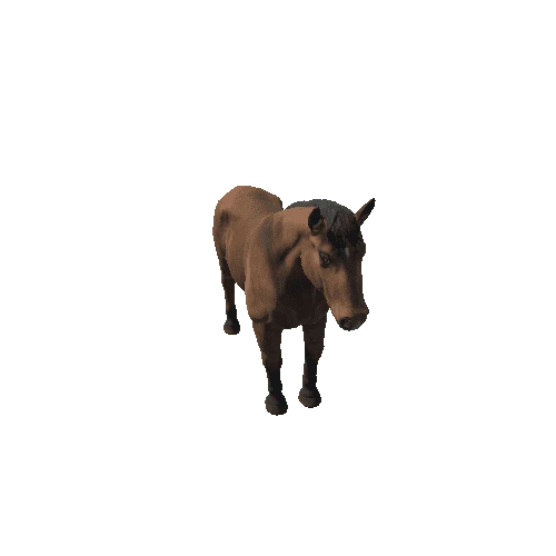 Horse_stallion_HighPoly_c1