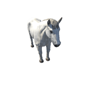 Horse_stallion_HighPoly_c2