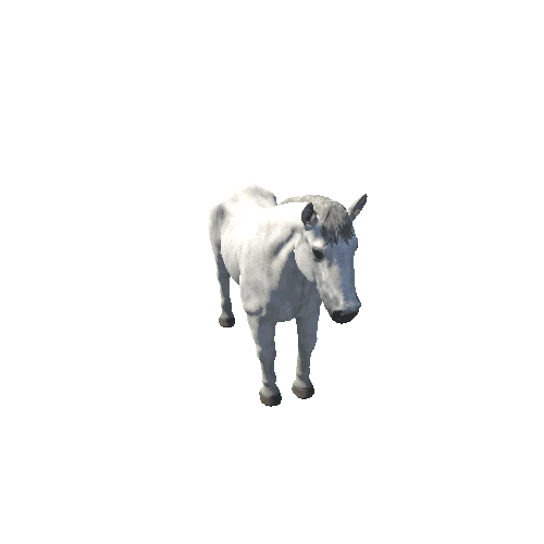 Horse_stallion_HighPoly_c2