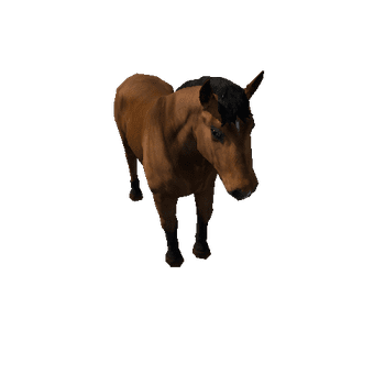 Horse_stallion_LowPoly_c1