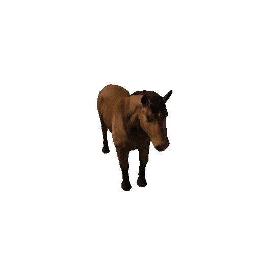 Horse_stallion_LowPoly_c1