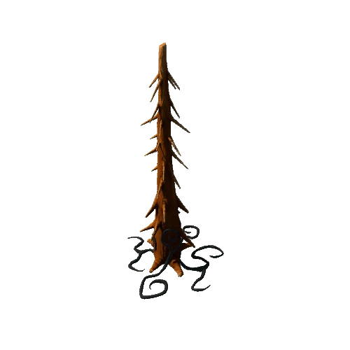 Trunk_Root_Dark_1